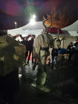 Obisk pobratene občine (17)